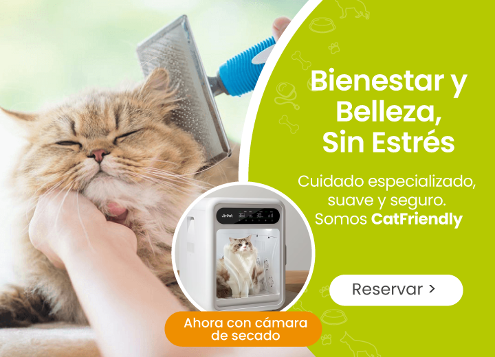 Peluquería canina y felina