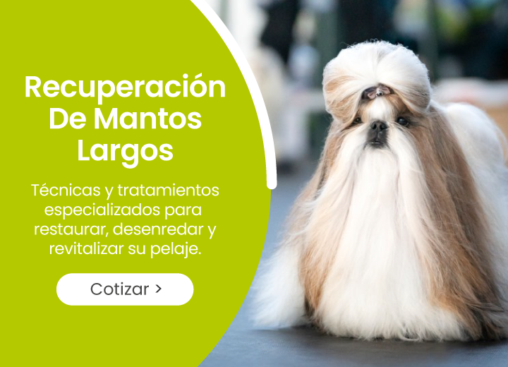 Recuperación de Mantos Largos para perros y gatos